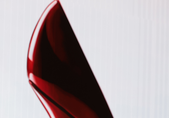 앤 해서웨이가 선물 받은 꽃신