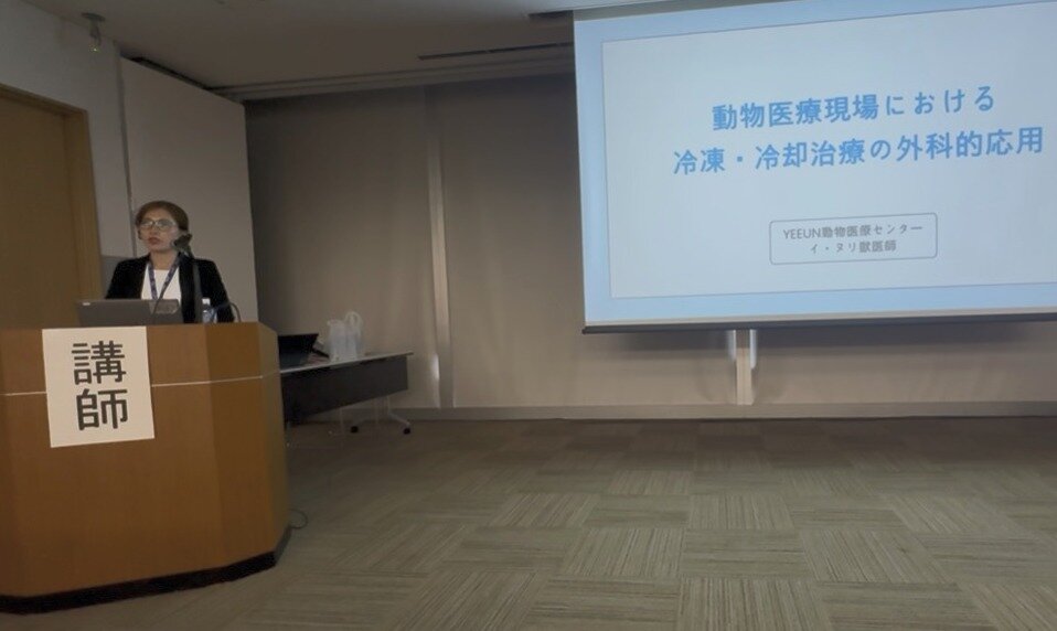 본문 이미지 - 이누리 수의사가 제46회 오사카 임상수의학회에서 강의를 하고 있다(예은동물의료센터 제공). ⓒ 뉴스1