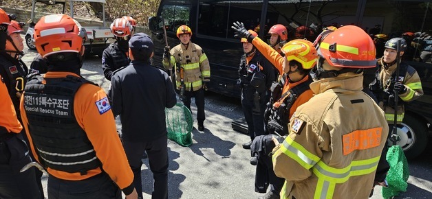 대전 오월드서 늑대 탈출 포획 진행