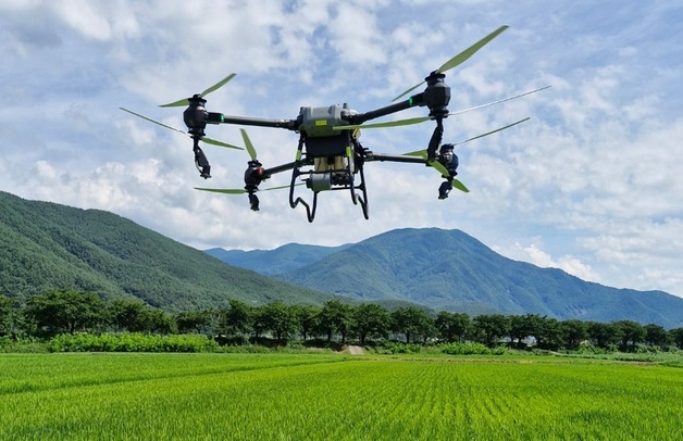 정선군, 올해 10월까지 드론 방제비용 지원