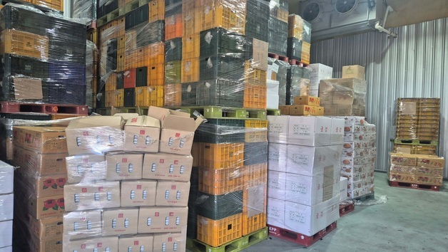 산림청, 임산물 포장재·유통 국고보조 늘린다…중동사태 대응