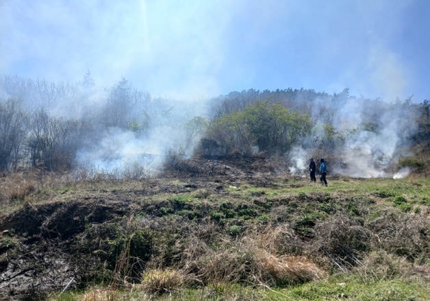진도 조도면 들판서 '소각 중' 화재…34분 만에 진화