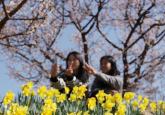 산책하기 좋은 날