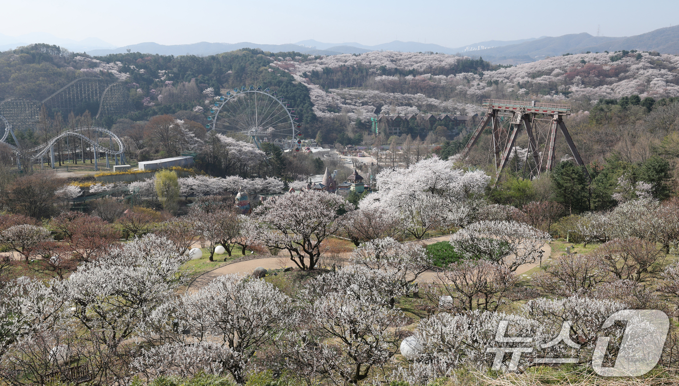 (수원=뉴스1) 김영운 기자 = 화창한 봄날씨를 보인 8일 경기 용인시 처인구 에버랜드 하늘정원길에서 바라본 에버랜드 일대가 벚꽃, 매화, 수선화를 비롯한 봄꽃들로 만개해 있다. …