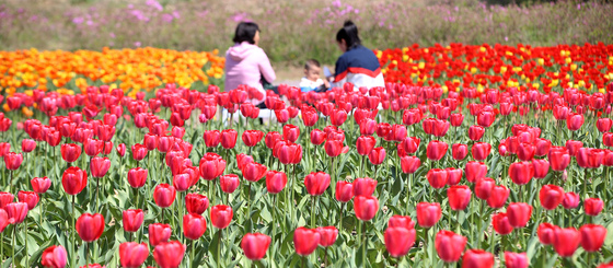 [오늘의 날씨] 부산·경남(11일, 토)…오후부터 흐려, 미세먼지 '나쁨'