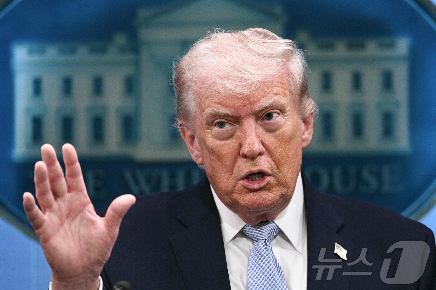 본문 이미지 - 도널드 트럼프 미국 대통령. ⓒ AFP=뉴스1
