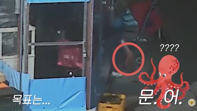 "배가 고파서"…울산 전통시장서 문어 훔친 50대 구속