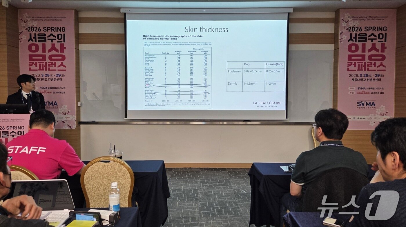 본문 이미지 - 이태현 라퓨클레르 동물피부클리닉 원장이 2026 서울수의임상컨퍼런스에서 강의하고 있다. ⓒ 뉴스1 최서윤 기자