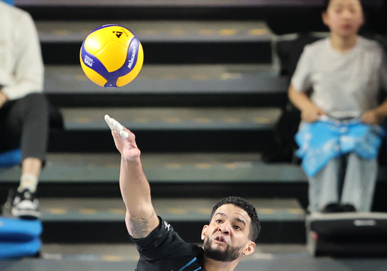 레오 강력한 서브