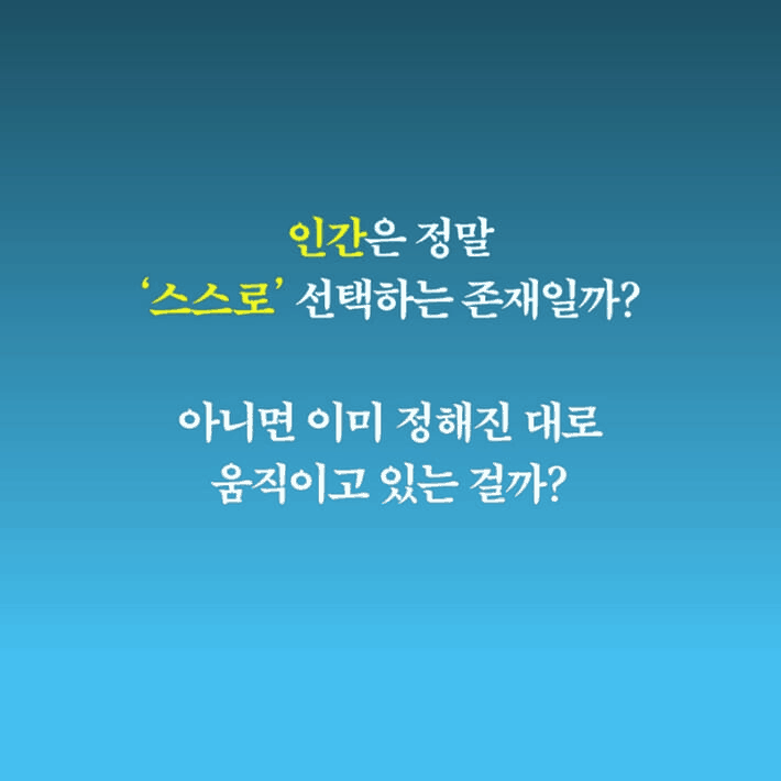 본문 이미지 - [신간] '모든 것은 결정되어 있다'