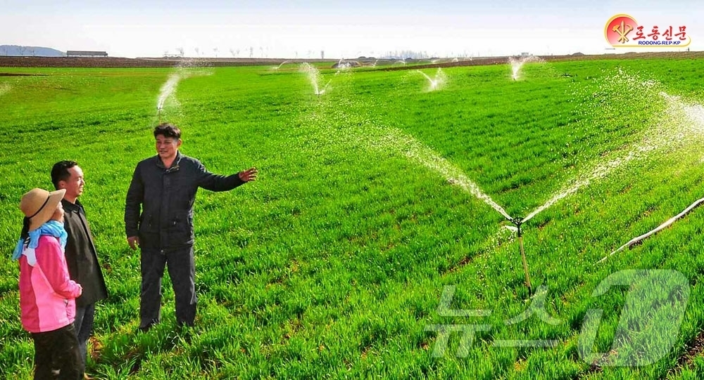 (평양 노동신문=뉴스1) = 북한 노동당 기관지 노동신문은 9일 가물(가뭄)현상이 지속되는 상황에 맞게 미루벌의 농촌들에서는 밀·보리의 상태를 구체적으로 료해(파악) 장악하고 생육 …