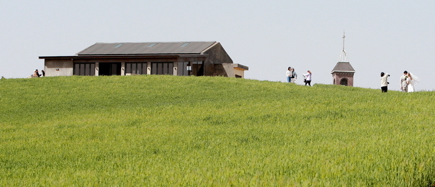 "보령 청보리밭·청소역·오천항에 봄철 나들이 오세요"