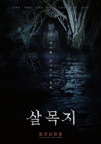 본문 이미지 - 살목지 포스터