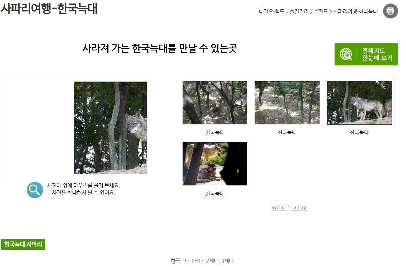 본문 이미지 - 대전 오월드는 홈페이지를 통해 주랜드 사파리에서 사라져가는 한국늑대를 국내에서 유일하게 관람할 수 있다고 홍보하고 있다(오월드 홈페이지). ⓒ 뉴스1