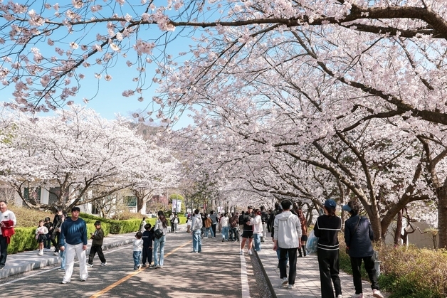 영암왕인문화축제 10~12일 절정…"왕인박사 퍼레이드 재현"