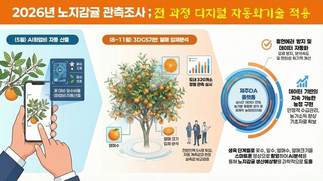 "카메라로 찍으면 열매수 즉시 예측"…제주, 노지감귤 조사 자동화