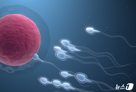 "성욕 그대로, 정자만 멈춤"…부작용 없는 '남성 피임약' 청신호