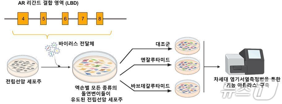 본문 이미지 - 프라임 편집 기반 AR 변이 라이브러리 구축 및 스크리닝 플랫폼.(연세대 의대 제공)