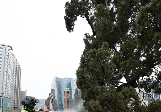 묵은 때 씻어내는 천년향