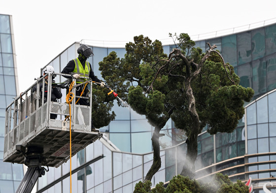 미세먼지 씻어내는 '아태 사법정의 허브' 천년향