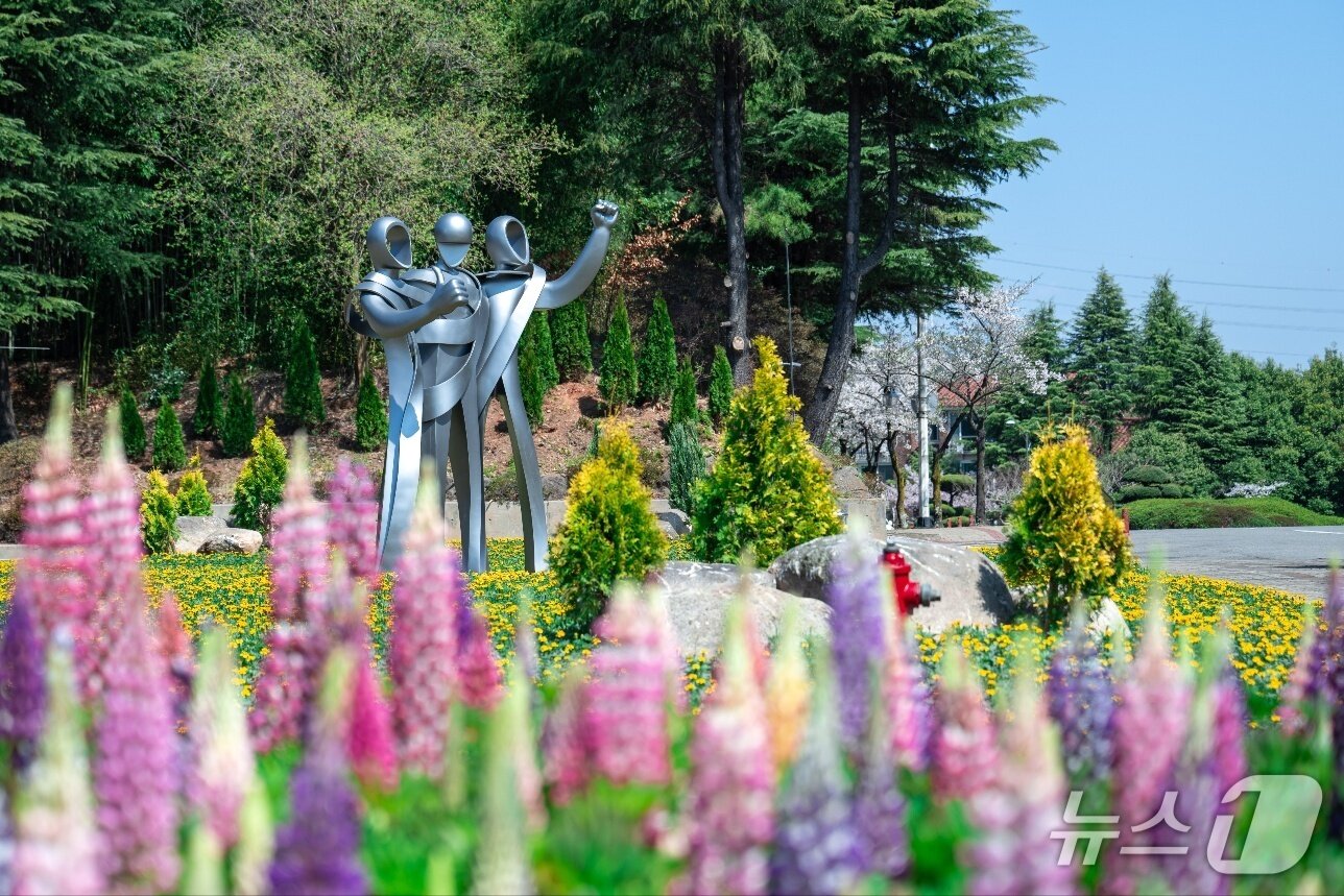 본문 이미지 - 광양제철소 복지센터 인근 형형색색의 다양한 초화류(광양제철소 제공) 