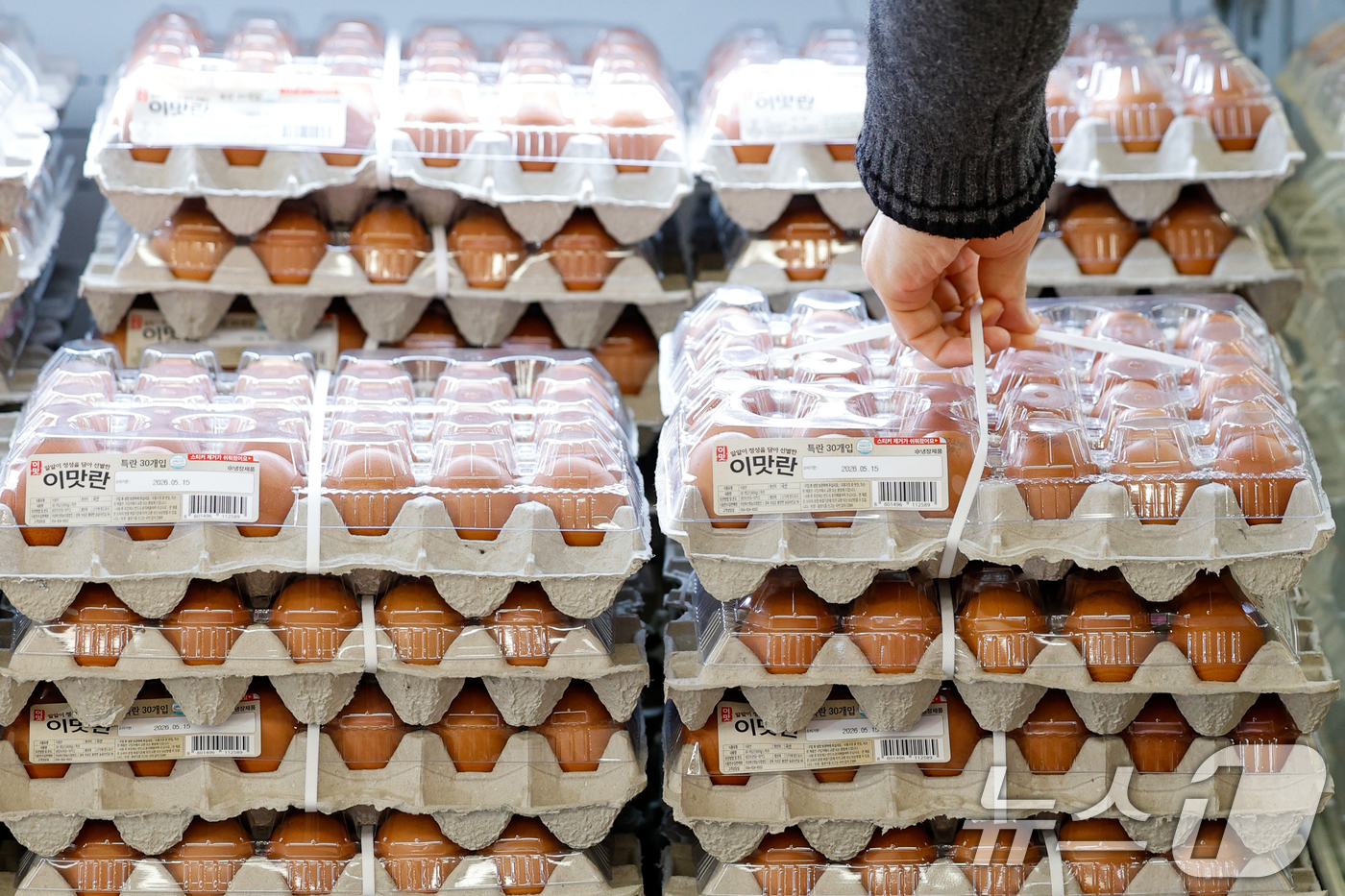 (서울=뉴스1) 안은나 기자 = 정부가 민생물가 특별관리 관계장관 TF를 열고 물가 안정 대책을 발표한 9일 서울 시내 대형마트에 계란이 진열돼 있다.정부는 신선란 2차 수입 35 …