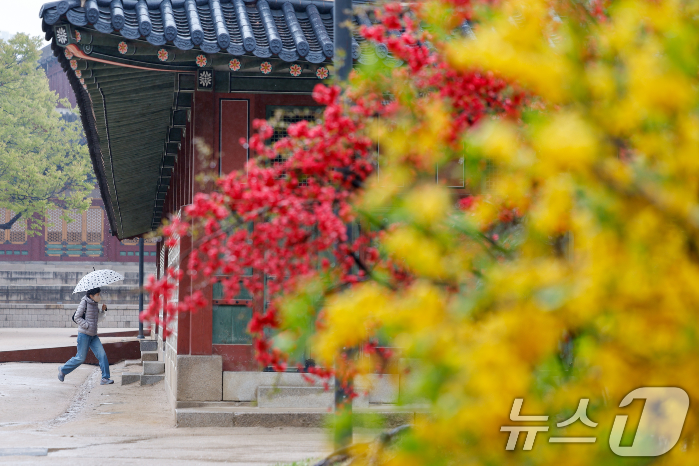 (서울=뉴스1) 안은나 기자 = 전국에 봄비가 내리는 9일 오후 서울 중구 덕수궁을 찾은 시민이 발걸음을 옮기고 있다. 2026.4.9/뉴스1