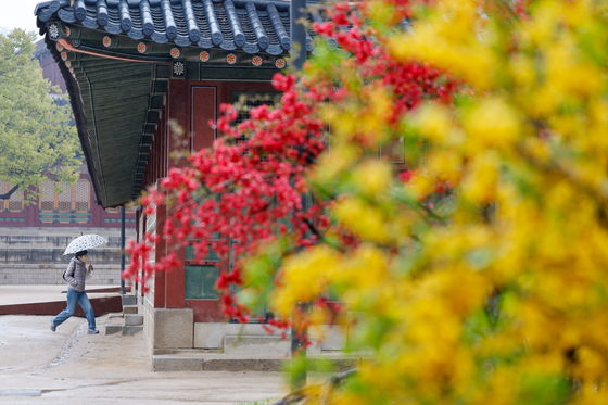 봄비 속 고궁 정취 느껴요