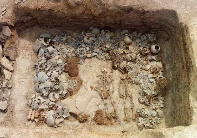 경산시, 1500년 전 순장자 DNA 분석 '족내혼 규명'…국제학술지 게재