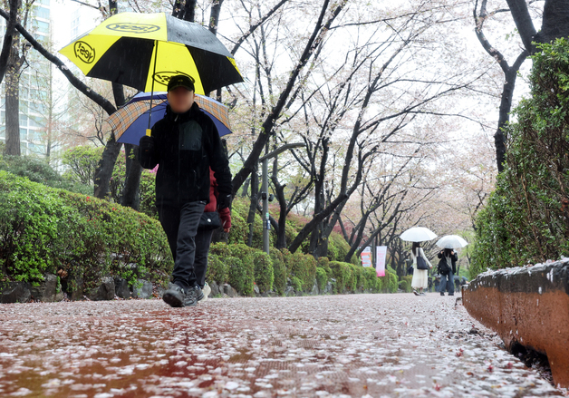봄비 내리는 석촌호수