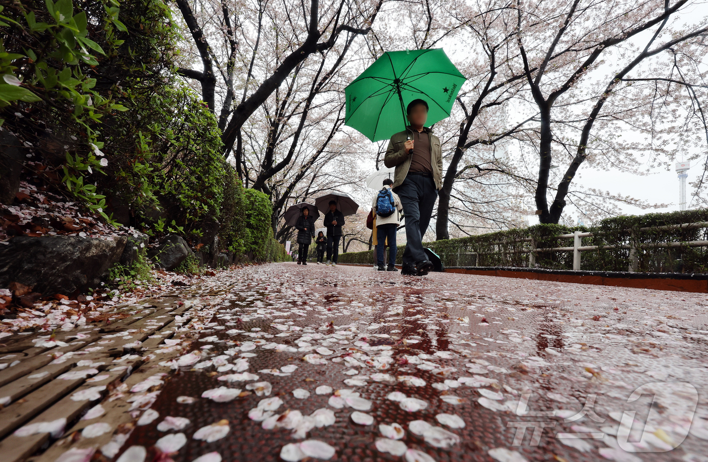 (서울=뉴스1) 김진환 기자 = 봄비가 내린 9일 오후 서울 송파구 석촌호수를 찾은 시민들이 벚꽃잎이 떨어진 산책로를 따라 걷고 있다. 2026.4.9/뉴스1