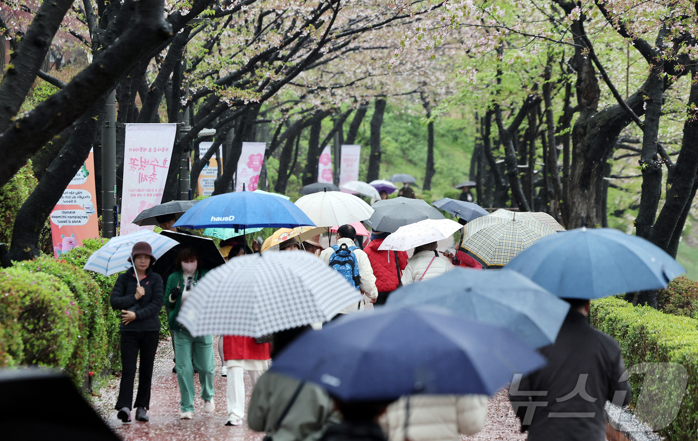 (서울=뉴스1) 김진환 기자 = 봄비가 내린 9일 오후 서울 송파구 석촌호수를 찾은 시민들이 벚꽃잎이 떨어진 산책로를 따라 걷고 있다. 2026.4.9/뉴스1
