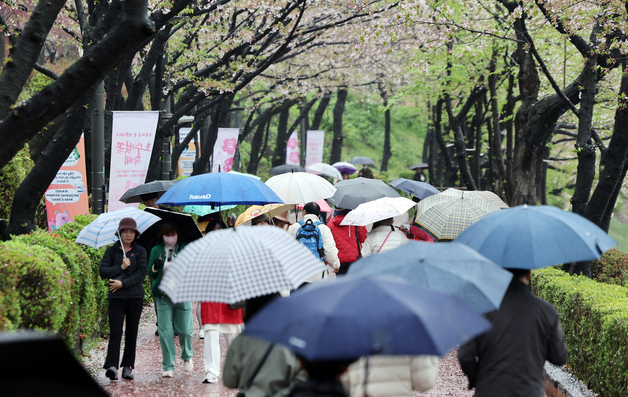 봄비 내리는 석촌호수