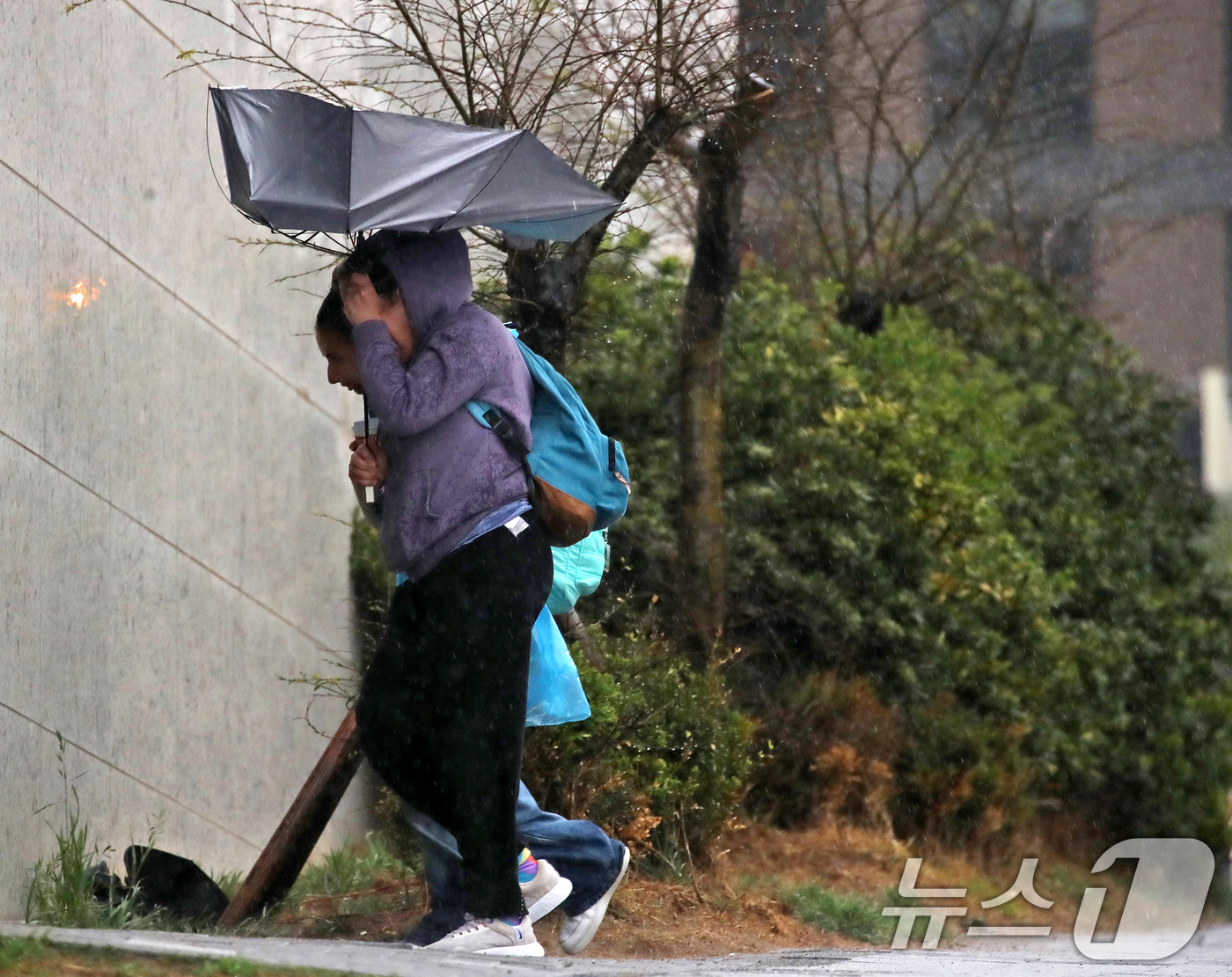 (부산=뉴스1) 윤일지 기자 = 전국적으로 비가 내리는 9일 오후 부산 해운대해수욕장 인근에서 외국인 관광객들이 강풍에 우산을 부여잡고 힘겹게 발걸음을 옮기고 있다.  2026.4 …