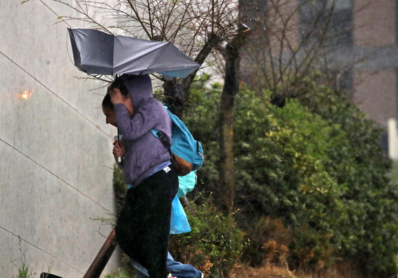 부산에 요란한 봄비