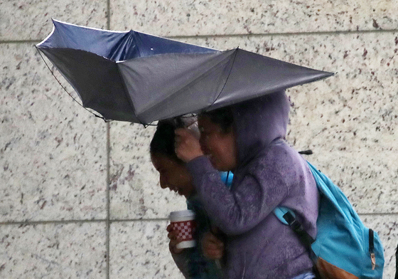 강풍에 뒤집어진 우산