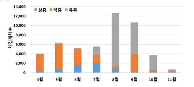 본문 이미지 - 2025년 참진드기 월별 채집 결과(질병관리청 제공. 재판매 및 DB금지) 2026.5.1 /뉴스1
