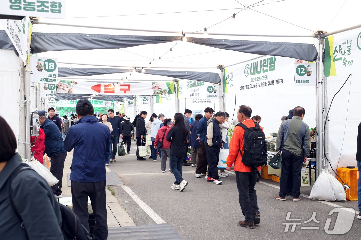 본문 이미지 - 제8회 홍천 산나물축제가 1일 오전 도시산림공원 토리숲 행사장 특설무대에서 막을 올렸다.(홍천군 제공. 재판매 및 DB금지)/뉴스1