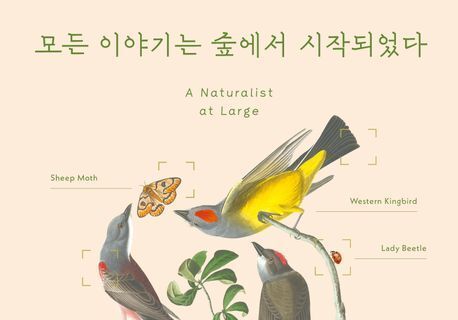 "작은 생명 속 거대한 우주"…숲속 오두막서 보낸 40여 년의 관찰 기록