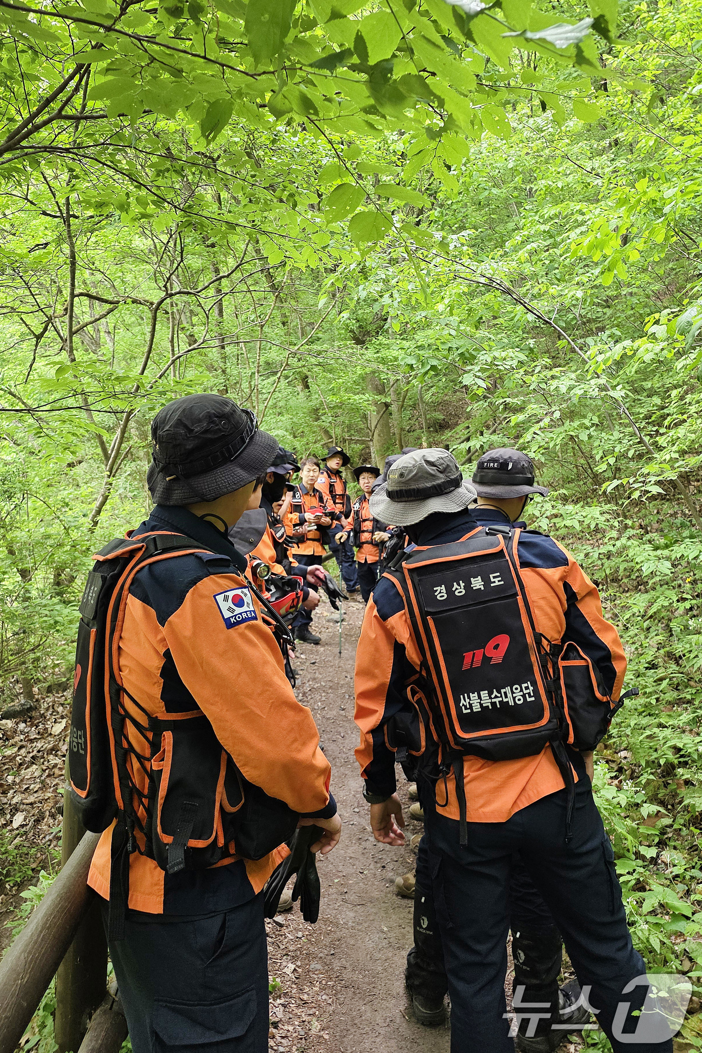 (청송=뉴스1) 공정식 기자 = 12일 오전 경북 산불특수대응단을 비롯한 경북소방 관계자들이 청송군 주왕산국립공원에서 실종된 13세 초등학생을 찾기 위한 수색을 재개하고 있다. ( …