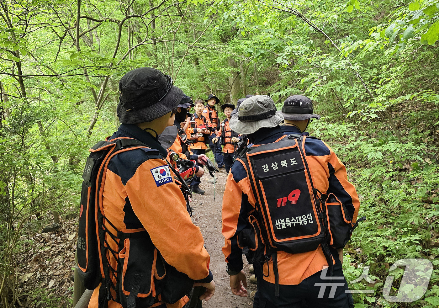 (청송=뉴스1) 공정식 기자 = 12일 오전 경북 산불특수대응단을 비롯한 경북소방 관계자들이 청송군 주왕산국립공원에서 실종된 13세 초등학생을 찾기 위한 수색을 재개하고 있다. ( …