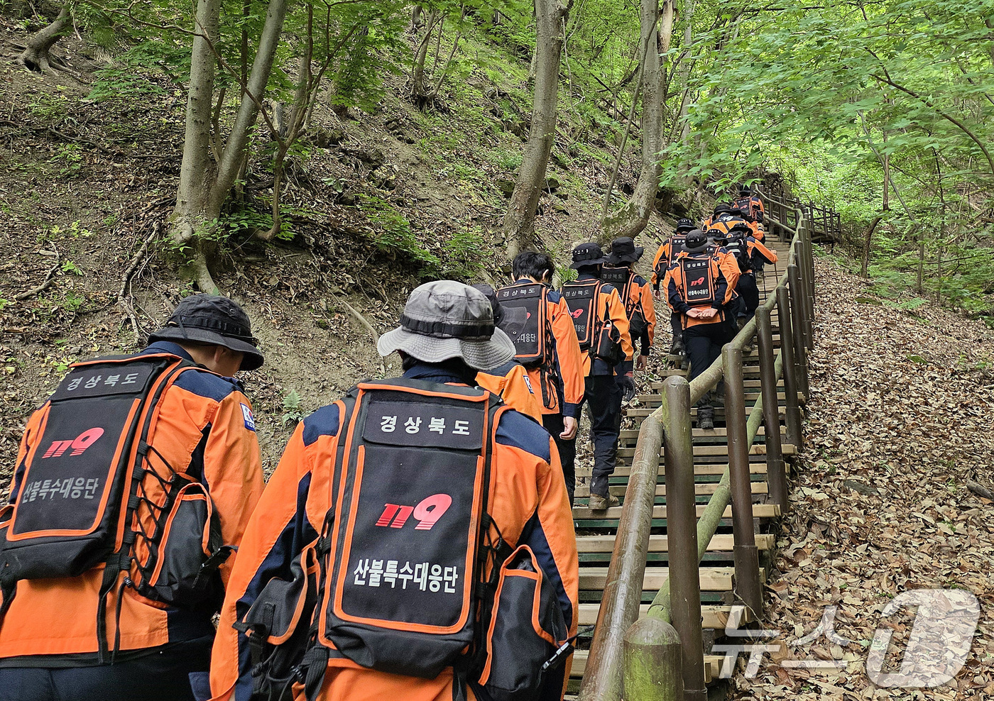 (청송=뉴스1) 공정식 기자 = 12일 오전 경북 산불특수대응단을 비롯한 경북소방 관계자들이 청송군 주왕산국립공원에서 실종된 13세 초등학생을 찾기 위한 수색을 재개하고 있다. ( …