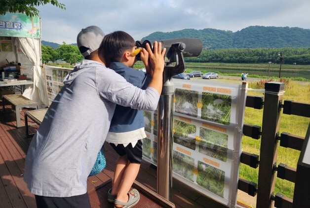 울산 태화강서 백로 새끼 기르기 관찰장 운영