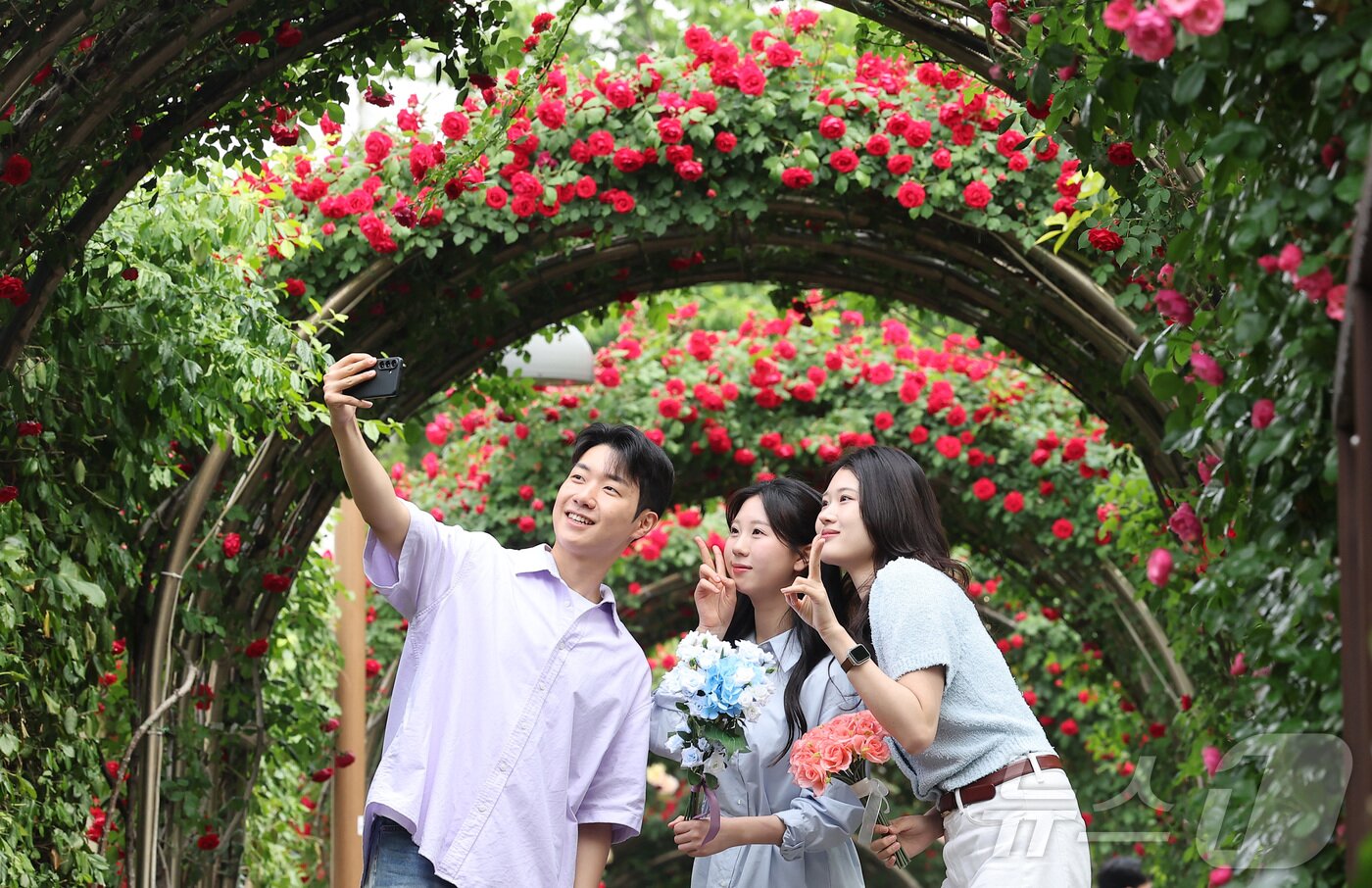 본문 이미지 - 제18회 중랑 서울장미축제 개막을 앞둔 12일 서울 중랑구 중랑장미카페 인근 장미터널에서 시민들이 기념촬영을 하고 있다. 제18회 중랑 서울장미축제는 15일 개막한다. 2026.5.12 ⓒ 뉴스1 김성진 기자