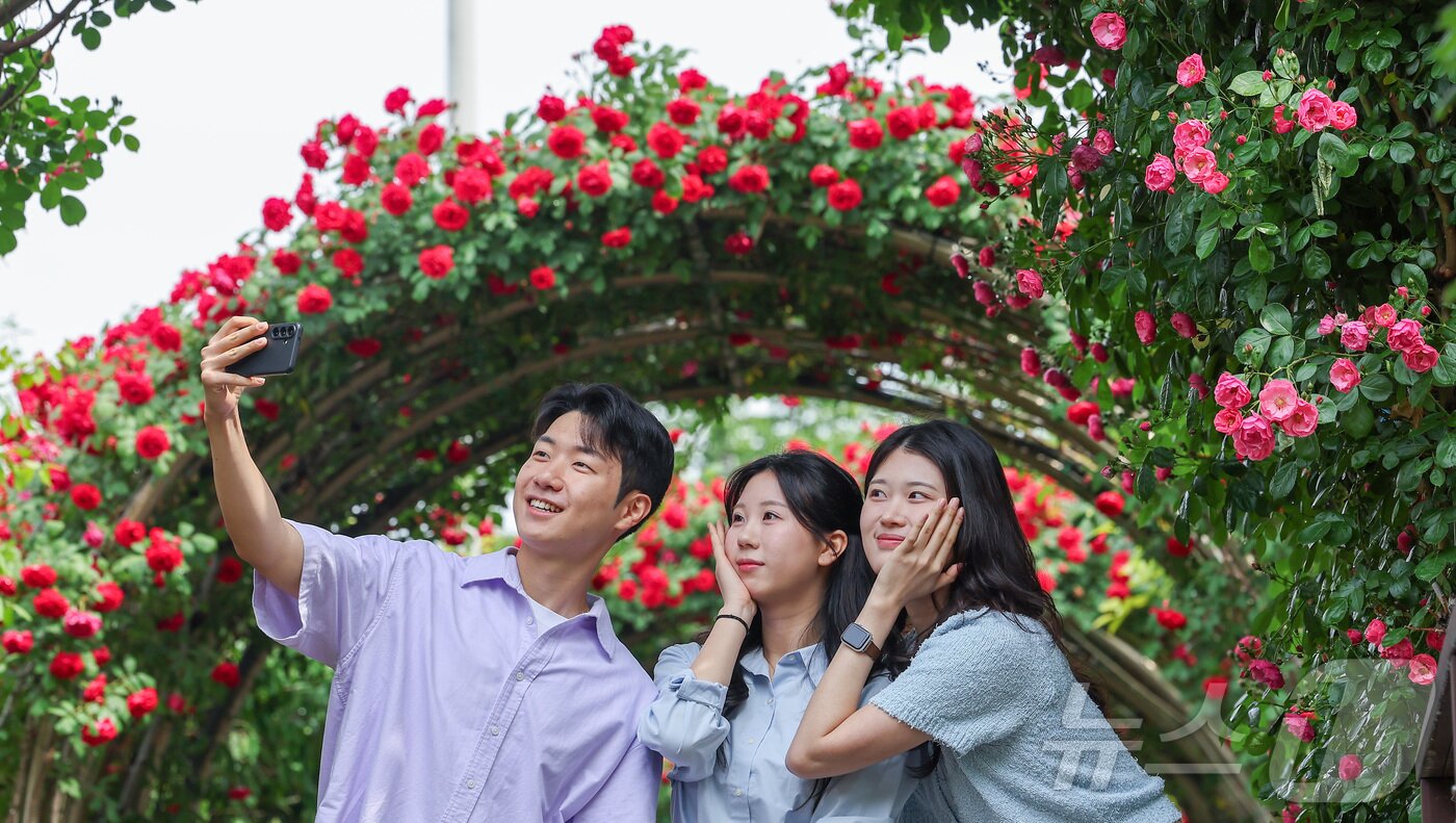 본문 이미지 - 제18회 중랑 서울장미축제 개막을 앞둔 12일 서울 중랑구 중랑장미카페 인근 장미터널에서 시민들이 기념촬영을 하고 있다. 제18회 중랑 서울장미축제는 15일 개막한다. 2026.5.12 ⓒ 뉴스1 김성진 기자