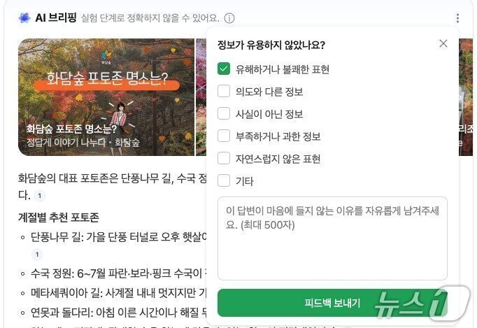 본문 이미지 - 네이버 AI 브리핑 피드백 기능 (네이버 AI 브리핑 갈무리)