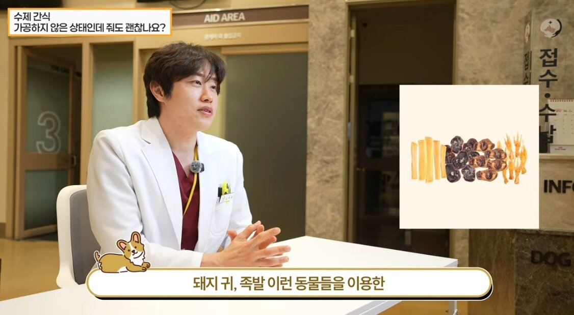 본문 이미지 - 김예원 더케어동물의료센터 원장이 유튜브를 통해 반려견 간식 선택법을 소개했다(더케어동물의료센터 유튜브 갈무리). ⓒ 뉴스1