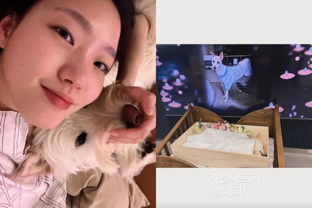 "거기선 아프지마"…김고은, 반려견과 안타까운 이별