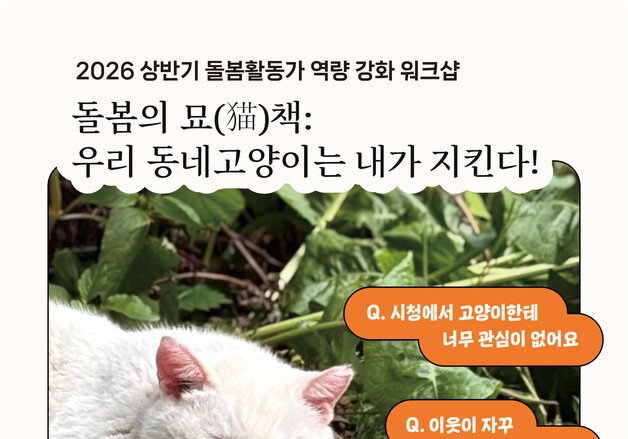 "민원부터 지자체 대응까지"…길고양이 돌봄 실전 교육 열린다
