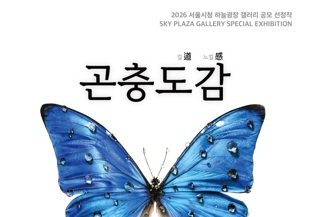 서울시청 하늘광장 갤러리 올해 첫 전시…박상빈 작가 '곤충도감'